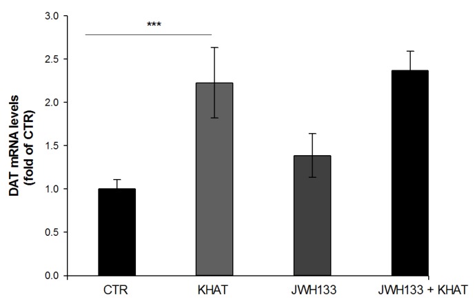 Effect of sub-acute administration of khat extract alone and in combination with JWH133 on DAT mRNA gene expression in WT mice. The quantification of dopamine transporter (DAT) mRNA levels and normalized by GAPDH mRNA in the VTA of WT mice after the administration of khat extract. Values are mean ± SEM (n=6 in each group). Statistical analysis was done using one-way ANOVA followed by Tukey′s multiple comparison test. *** p < 0.001. CTR (control group received the vehicle); KHAT (treatment group received khat extract 300 mg/kg); JWH133 (treatment group received JWH133 5 mg/kg); JWH133 + KHAT (treatment group received a combination of JWH133 5 mg/kg with khat extract 300 mg/kg). The vehicle, JWH133, and khat extract were administered to mice once daily for seven consecutive days.