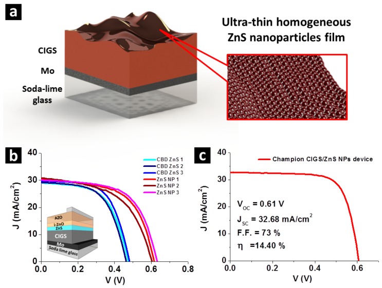(a) A schematic illustration on compact layer of ZnS nanoparticles layer on Cu(In,Ga)Se2 (CIGS) surface. (b) Current–voltage (J–V) characteristic curves of CIGS solar cells with chemical bath deposition (CBD) ZnS buffer layer and ZnS NPs buffer layer. J–V curves of ZnS NPs devices are presented in pink, red and wine red, while curves obtained from CBD ZnS devices are presented in blue, light blue and navy blue. Absorber layers of the two kinds of CIGS solar cells were separately prepared by co-evaporation. Inset shows a schematic illustration on the device structure. (c) J–V curve of Champaign CIGS solar cell with ZnS NPs buffer layer.