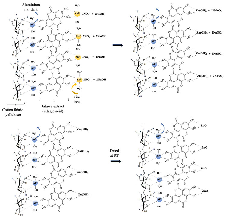 The chemical reaction pathways for the formation of ZnO NPs on ND-colored cotton fabric [42].