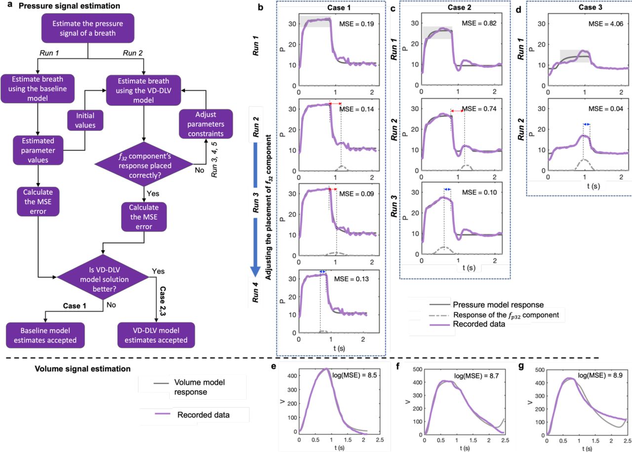 The VD-deformed lung ventilator (VD-DLV) model can accurately reproduce all the essential features found in pressure and volume waveform signals of the FL-VD breaths.(a) Flow chart of the estimation methodology for the pressure waveform signal. The pressure signal baseline model comprises the fp1# component and CP, while the VD-DLV model comprises all three components (fp1#, fp2$, and fp32) and CP. While using the VD-DLV model for estimation, the Ap3 parameter constraints were adjusted to ensure that the deformation produced by the fp32 component is placed during before the end of inspiration (see Methods). The final parameters estimations were accepted either from the baseline or the VD-DLV model based on the Mean Squares Errors (MSE) score produced by these models (see Methods). (b-d) The pressure waveforms of three representative breaths where the final model’s response is shown in sold-grey lines, while the recorded data is shown in solid-colored lines. In Cases 1 and 2, after Run 2, the Ap3 parameter constraints were adjusted as the response of the fp32 component was placed incorrectly-shown by the red arrow in Run 2. The same process was repeated for Case 1 in Run 3 and 4 while for Case 2 a positive difference was achieved in Run 3-shown by the blue arrow. By this approach, we found the optimum solution for Cases 1, 2 and 3 in Run 4, 3 and 2, respectively. However, for Case 1, unlike Cases 2 and 3, the VD-DLV model did not significantly reduce the MSE, and hence the solution of the baseline model was accepted. For MSE calculation, the regions highlighted in the plots of Run 1 for each case were considered (see Method). (e-f) The estimated volume waveform signal for (e) Case 1, (f) Case 2, and (g) Case 3. The estimated model parameters for each Case and Run are shown in SI Table S3-S5.