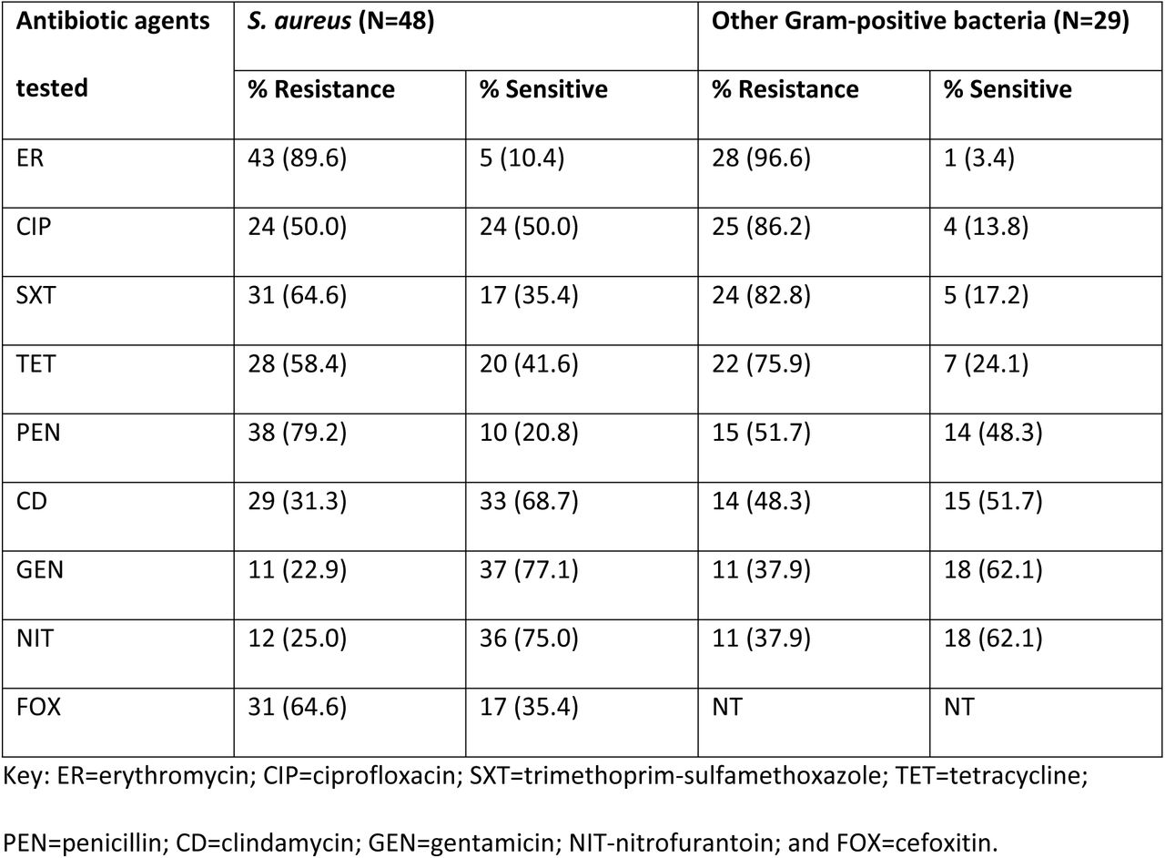 Percentage resistance of Gram-positive bacteria causing community-acquired urinary tract infection at Buzuruga and Igoma Health Centers in Mwanza, Tanzania