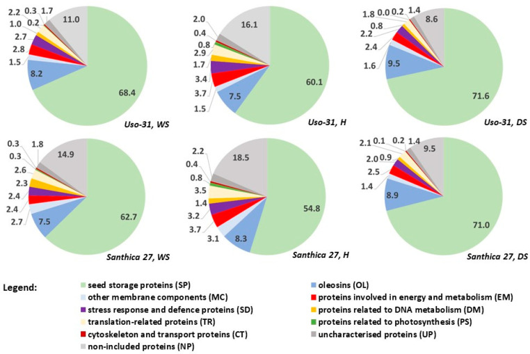 Pie charts of protein class sum proportions (in %) derived from relative abundance values in evaluated hempseed materials (WS—defatted flour from whole seeds; H—defatted flour from milled hulls; DS—defatted flour from dehulled hemp seeds).