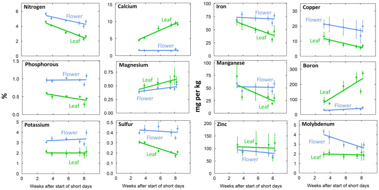Time series of tissue concentration in leaf and flower tissue. Individual data points represent the mean of the two EC treatments and three P treatments (n = 6). Error bars represent standard deviation.