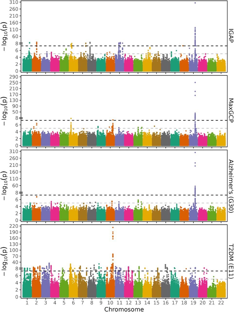 Comparison of GWAS results for Alzheimer’s disease.Shown are GWAS summary statistics for the target, MaxGCP phenotype, naive phenotype, and top feature for the IGAP Alzheimer’s disease phenotype. IGAP shows the IGAP GWAS summary statistics directly. MaxGCP shows the corresponding MaxGCP phenotype. Stroke shows the the naive equivalent phenotype, defined as a single occurrence of any ICD-10 code starting with G30. The final facet shows GWAS summary statistics for type 2 diabetes mellitus, the top feature in MaxGCP besides Alzheimer’s disease itself (ICD-10 code G30).