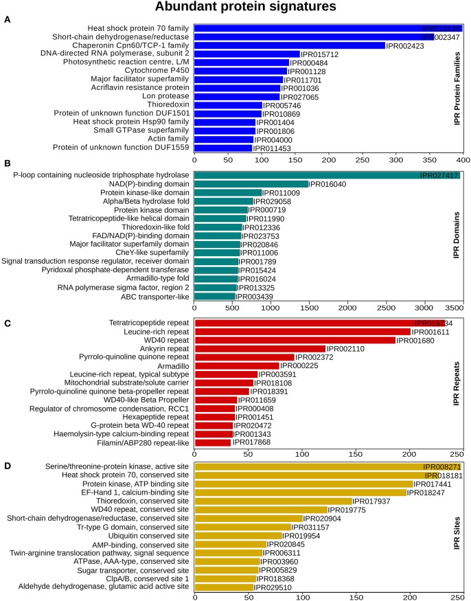 InterProScan functional analysis. (A) Annotation distribution of most significant protein families (B) domain identified (C) prominent repeats observed and (D) important sites determined. X-axis represents the number of genes associated with the respective protein signatures on Y-axis.