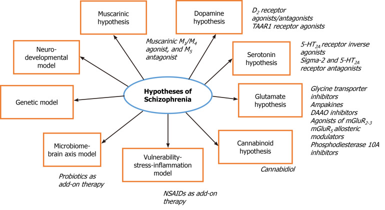Illustration of current hypotheses and novel approaches in treatment of schizophrenia. DAAO: D-Amino acid oxidase; TAAR1: Trace amine-associated receptor 1; NSAIDs: Non-steroidal anti-inflammatory drugs.