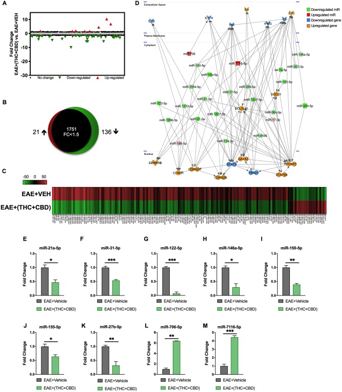 Differentially expressed miRNAs in brain-infiltrating CD4+ T cells upon THC+CBD treatment in EAE mice. Total RNA was isolated and pooled from CD4+ T cells obtained from the brains of EAE mice post-treated with vehicle (n = 5) or THC+CBD (n = 5) on day 15. MicroRNA microarray expression levels of differentially expressed miRNAs were generated. (A) The fold change distribution of all 1,908 miRNAs tested. (B) Proportional Venn diagram illustrating fold change of miRNAs that were >1.5- fold dysregulated following treatment with THC+CBD in EAE mice. (C) Heat map of the 157 dysregulated miRNAs. The color scale denotes those miRNAs that were upregulated (red) and downregulated (green). (D) Pathway analysis of miRs mediating dysregulation in gene expression following THC+CBD treatment. (E–M) Expression levels of selected upregulated and downregulated miRNAs were validated by qRT-PCR using Snord96a as a small RNA endogenous control. Data presented are mean ± SEM. ***p < 0.001, **p < 0.01, *p < 0.05 by unpaired two-tailed T-test.