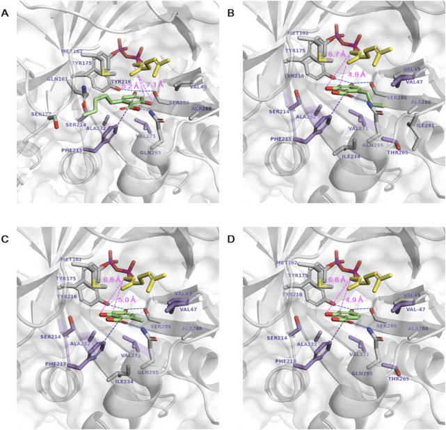 Docking of aromatic substrates in the NphB* active site. (A–D) correspond to the docking of 1a∼1d, respectively. The stick representations are GPP (yellow), aromatic substrate (green), mutation target residues (purple), and other substrate-interacting residues (gray). Hydrogen bonds, π–π interactions, and the catalytic distances between the C1 atom of GPP and the C3 or O2 atoms of the aromatic substrates are marked in dotted blue, purple, and pink lines, respectively.