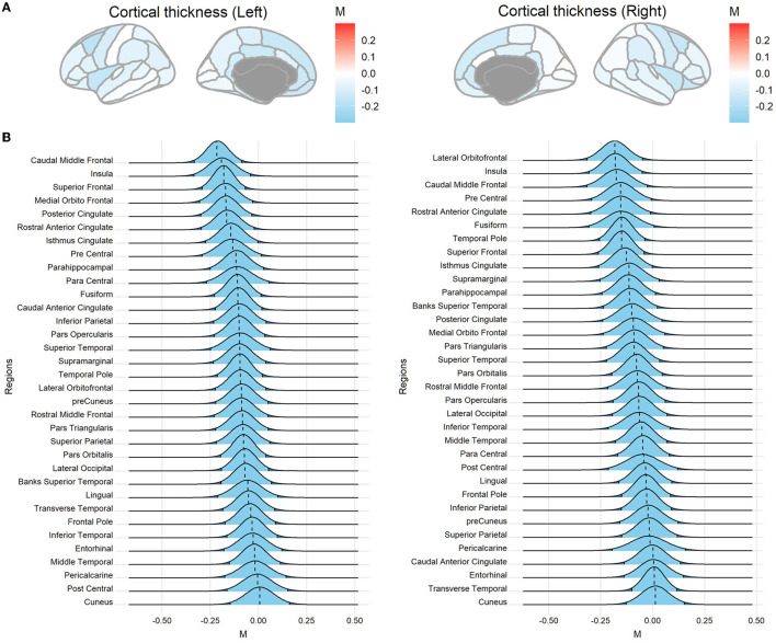 Posterior distributions of the overarching parameter M for cortical thickness. (A) Posterior mode for each region mapped onto the brain. (B) The posterior distribution for cortical regions. The dashed line indicates the posterior mode and the light blue area denotes the 95% highest density interval (HDI). Regions are sorted by the mode value of the distribution.