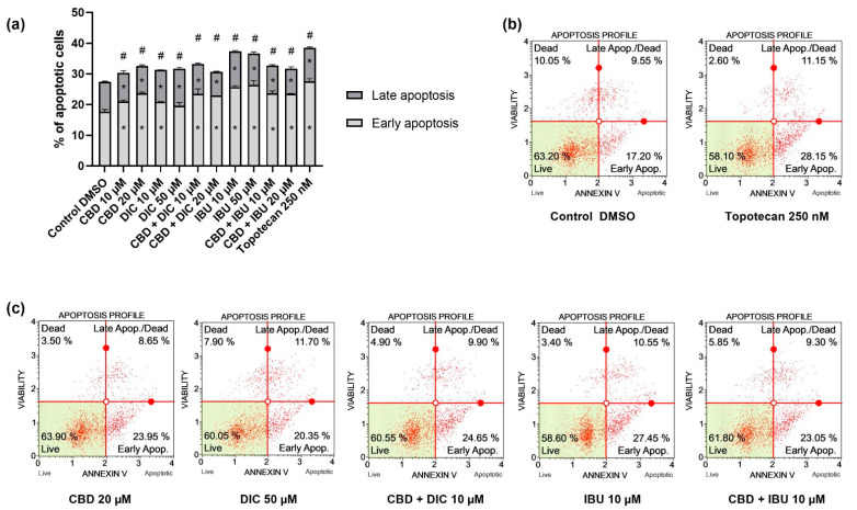 Apoptosis profile obtained using Muse ™ Annexin V & Dead Cell Assay for A431 cells treated with the analyzed compounds (CBD, DIC, IBU) and their equimolar combinations (CBD + DIC, as well as CBD + IBU). The bar chart (a) represents the percentage of apoptotic (early and late, as well as total apoptotic) cells after 24 h of treatment with the compounds/combination of compounds. The values are shown as the mean ± SEM calculated from two independent experiments. (*) indicates statistically significant differences from control group for early/late apoptosis, (#) above bar indicates statistically significant differences from control group for total apoptotic cells, p < 0.05. Apoptotic histograms of the negative and positive controls of the assay, i.e., DMSO and 250 nM topotecan, respectively, are presented in (b), while the representative samples are shown in (c). Four quadrant markers of each plot reflect the different cellular states: the upper left quadrant contains dead cells (necrosis), the upper right has late apoptotic/dead cells (cells that are positive both for Annexin V and for cell death marker 7-AAD, 7-Aminoactinomycin D), the lower left contains live cells and the lower right early apoptotic cells (cells that are positive only for Annexin V).