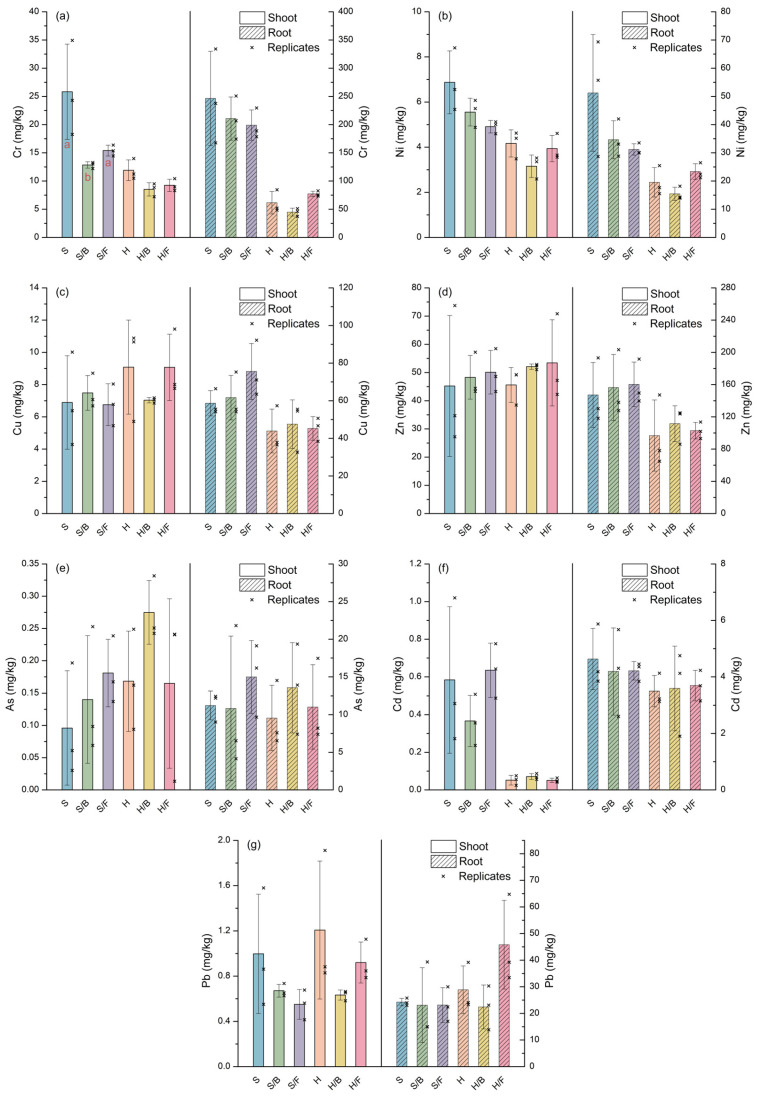 Concentrations of (a) Cr, (b) Ni, (c) Cu, (d) Zn, (e) As, (f) Cd, and (g) Pb in shoots and roots of sorghum and hemp across all investigated treatments. Shoot and root concentrations are plotted against the left and right y-axes, respectively. Bars represent mean values (n = 3) ± SD, with individual replicates shown as cross marks. Different letters denote significant differences among treatments within each plant species and tissue (p < 0.05).