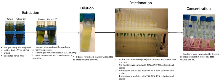 Protocol of systematic extraction and fractionation of Cannabis sativa L. Futura 75 and Cannabis sativa L. Finola.