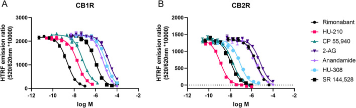 Steady-state competition binding curves of cannabinoid ligands competing with the tracer D77 for CB1R and CB2R. Experiments were conducted using a fixed concentration of the tracer molecule D77 and increasing concentrations of unlabeled ligands using membranes expressing (A) CB1R and (B) CB2R. Competition binding curves for the cannabinoid compounds are shown for both receptors at 37°C and following a 15-min incubation period. Graphs are representatives of three independent experiments and represent mean ± SEM of six technical replicates.