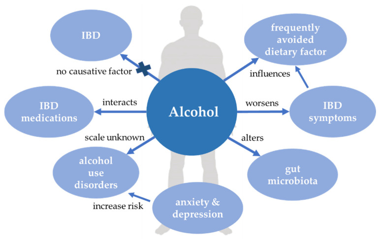Alcohol and inflammatory bowel disease. IBD, inflammatory bowel disease.
