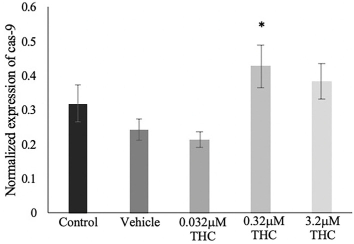 Caspase 9 mRNA expression in blastocysts. Blastocysts were produced from cumulus-oocyte complexes (COCs) exposed to varying doses of THC representing therapeutic cannabis use (low, 0.032 μM) and recreational cannabis use (mid, 0.32 μM; high, 3.2 μM) in addition to a vehicle (1:1:18 ethanol: tween: saline) and control group for 22 h. COCs were fertilized and cultured to the blastocyst state. At day 8 post-fertilization, blastocysts were collected in groups of 5 and underwent RNA extraction followed by droplet digital PCR quantification of caspase 9 (cas-9). Results were normalized to the reference gene, YWHAZ. Four biological replicates were analyzed. Bars represent mean ± SEM. Significance is calculated in relation to the vehicle group. *p < 0.05.