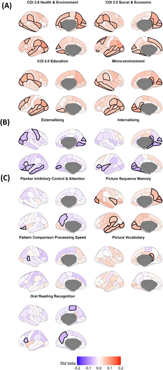 Longitudinal AssociationsNote. Brain plots depicting regional standardised beta coefficients for longitudinal associations between (A) environmental factors and changes in centile scores, (B) centile change scores and changes in mental health, and (C) centile change scores and changes in cognition. Regions are colour-coded according to the magnitude and direction of the standardised beta values. Statistically significant regions (pFDR < 0.05) are outlined.