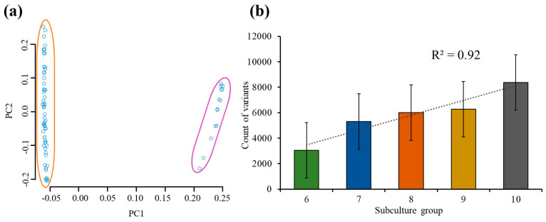 Analysis of the PCA and the number of variants in each subculture group. (a) A PCA plot with two primary groupings (orange and purple), which represent the two sister clonal lines. (b) A bar graph revealing the impact of consecutive subcultures on the number of variants discovered, with error bars representing the standard deviation.