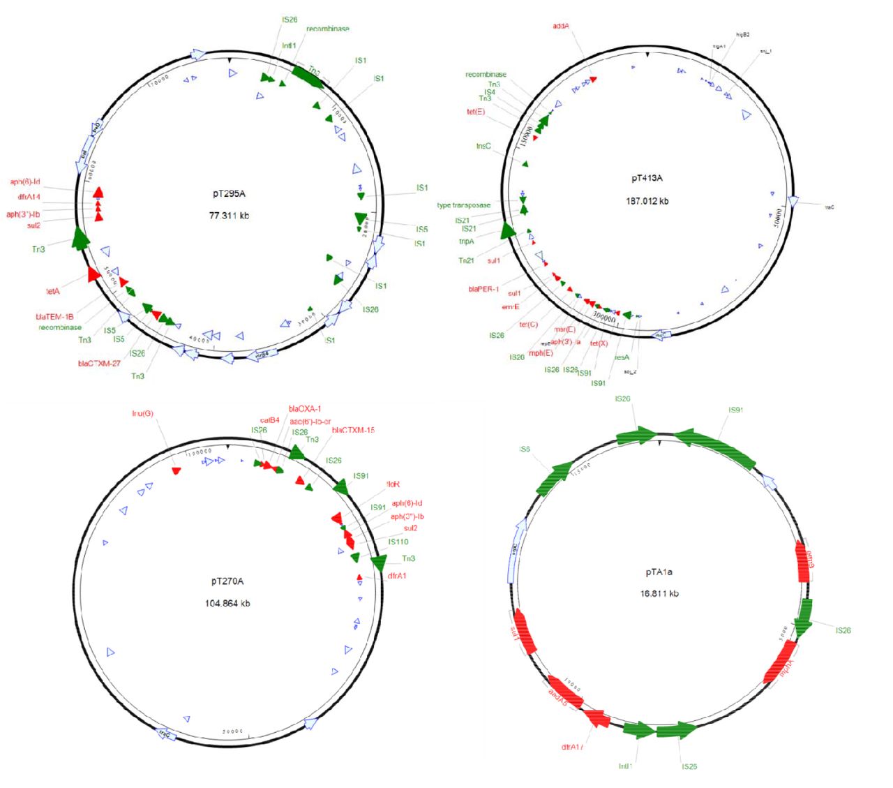 Plasmid maps of four distinct plasmids used in this study. (A) pT295A, (B) pT413A, (C) pT270A, (D) pTA1a. Red arrows are resistance genes detected by starAMR tool. Green arrow are mobile genetic elements detected by RAST and BLAST tools. Light blue arrows are other functional genes which were annotated by PROKKA tool. Figures were created using SeqBuilder Pro (version 16.0.0).