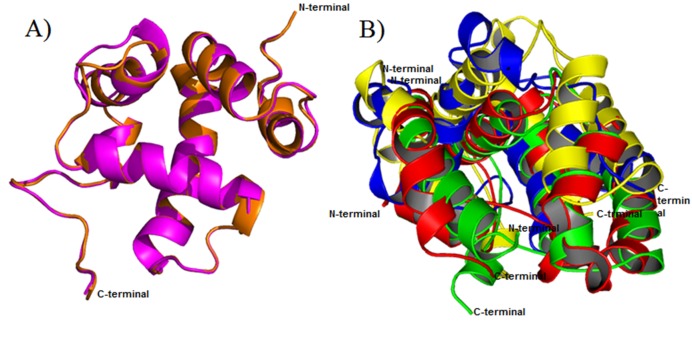 Superimposition of six OBPs taken from the phylogenetic tree. A) The two structures of OBPs from out group of phylogenetic tree (Pinkc color-ApisMillefera(model-Q8I6X7) and Orange color-Apis Cerana (Model-Q1W1D8). B) Superimposition of four OBPs from in-group of phylogenetic tree (Red-2H8V, Green-Model A0A0K0PXH2, Blue-Model A0A0K0PX79 and Yellow-Model Q1W1D7).