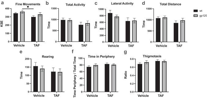 TAF treatment has a moderate effect on locomotor activity. Measurements of a fine movements, b total activity, c lateral activity, d total distance, e rearing, f time in periphery, and g thigmotaxis. Analyzed with two-way ANOVA. *p<0.05