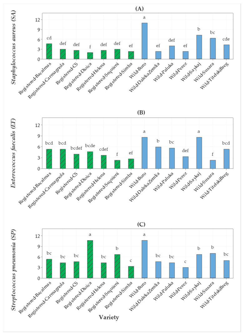 Bar graph of (A) Staphylococcus subsp. aureus (SA), (B) Enterococcus faecalis (EF), and (C) Streptococcus pneumoniae (SP) (gentamycin) antimicrobial activities (inhibition zone in mm) from seven registered cultivars and seven wild accessions. The means represented by the bars sharing the same letter are not significantly different.