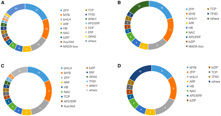 Transcription factors (TFs) related to cannabinoids and terpenes(A) Related to either cannabinoids or terpenes.(B) Related to cannabinoids only.(C) Related to terpenes only.(D) Related to both terpenes and cannabinoids.