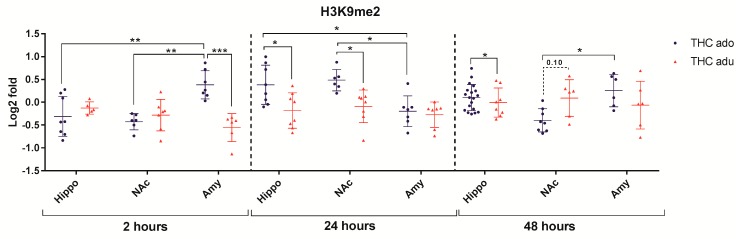 Comparison of Δ9-THC effect on H3K9me2 in adolescent (THC ado) and adult (THC adu) animals in the different brain areas. Data are reported as log2 fold. Mean ± SD are shown. * p < 0.05, ** p < 0.01, *** p < 0.001 (Tukey post-hoc test).