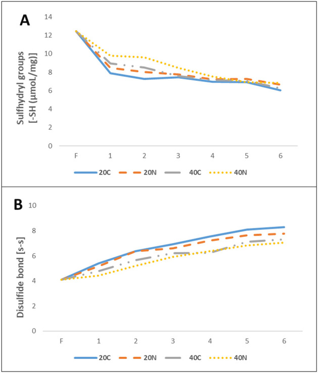 Graph A shows the decline of sulfhydryl groups [-SH] over six months, with different storage conditions like Fresh, 20C, 20N, 40C, and 40N. Graph B displays the increase in disulfide bonds [S-S] under the same conditions and timeframe.