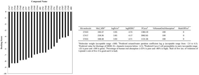 Bar chart on the left displays docking scores for compounds CN17, CN16, CN10, CN43, CN6, CN9, CN53, CN54, CN14, AR1, CN12, CN1, CN54, CN57, CN32, CN31, and AR2, with lower scores indicating better docking. Table on the right summarizes molecular weight, logPo/w, logHERG, PCaco, percent human oral absorption, and rule of five violations for hit molecules CN43, CN17, and CN55, with all showing 100 percent absorption and no rule of five violations.