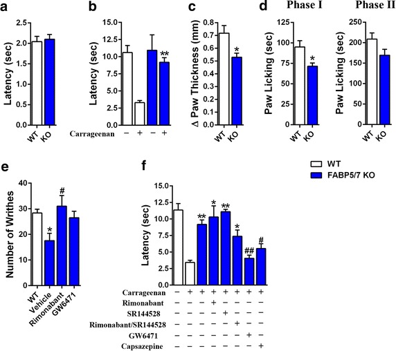 Nociception in FABP5/7 KO mice. a Tail withdrawal latencies of WT and FABP5/7 KO mice in the tail immersion test (n = 6). b Paw withdrawal latencies in the hargreaves test in WT (white bars) and FABP5/7 KO (blue bars) mice before and 4 h after carrageenan injection. **p < 0.01 versus carrageenan injected WT mice (n = 6). c Paw edema in WT and FABP5/7 KO mice after carrageenan injection (n = 6). d Nociception during the first (left panel 0–5 min) and second (right panel 15–60 min) phases of the formalin test. *p < 0.05 (n = 9). e Acetic acid writhing in WT and FABP5/7 KO mice. The FABP5/7 KO mice received a subcutaneous injection of vehicle, 3 mg/kg rimonabant, or 4 mg/kg GW6471 45 min before acetic acid injection. *p < 0.05 versus WT mice; #p < 0.05 versus vehicle-treated FABP5/7 KO mice (n = 9–12). f Carrageenan-induced thermal hyperalgesia in WT and FABP5/7 KO mice treated with receptor antagonists. FABP5/7 KO mice were injected with vehicle, 3 mg/kg rimonabant, 3 mg/kg SR144528, 4 mg/kg GW6471, or 5 mg/kg capsazepine before carrageenan administration. *p < 0.05; **p < 0.01 versus carrageenan injected WT mice. #p < 0.05; ##p < 0.01 versus carrageenan injected FABP5/7 KO mice (n = 9–12)