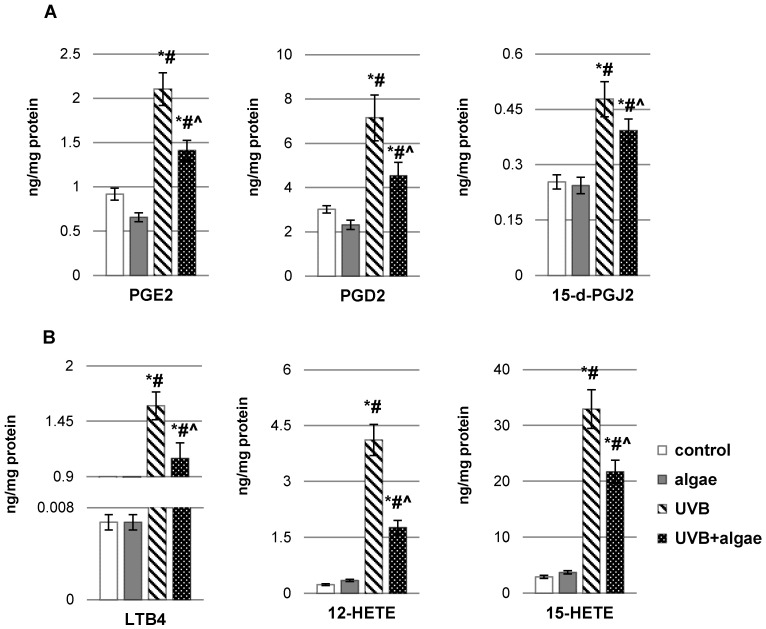 The influence of Nannochloropsis oceanica microalgae extract on the levels of (A) eicosanoids produced by cyclooxygenases (COXs) (COX1/2), including prostaglandin E2 (PGE2), prostaglandin D2 (PGD2), and 15-deoxy-delta12,14-prostaglandin J2 (15d-PGJ2), and (B) eicosanoids produced by lipoxygenases (LOXs), encompassing leukotriene B4 (LTB4), 12-hydroxyeicosatetraenoic acid (12-HETE), and 15-hydroxyeicosatetraenoic acid (15-HETE), in various keratinocyte groups: control (n = 5); cultured with algae extract for 24 h (n = 5); irradiated with UVB (60 mJ/cm2) (n = 5); and irradiated with UVB (60 mJ/cm2) and subsequently cultured with algae extract for 24 h (n = 5). Mean values ± standard deviation (SD) and statistically significant differences for p < 0.05 are indicated as follows: *—vs. control group; #—vs. algae group; and ^—vs. UVB group.