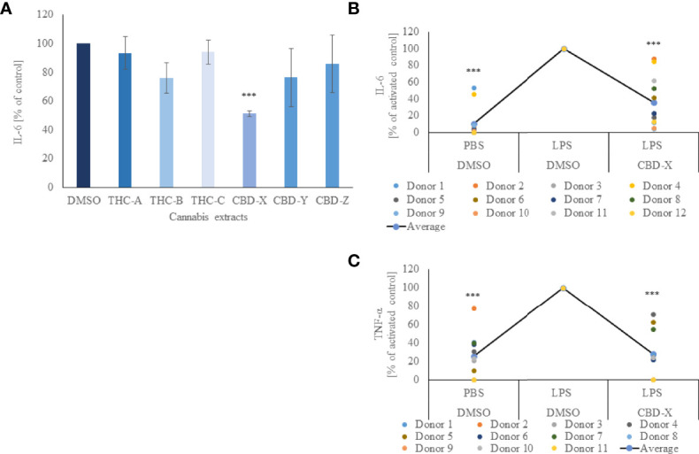 CBD-X downregulates the secretion of pro-inflammatory cytokines. (A) Mouse macrophages (RAW 264.7 cells) were incubated in DMEM overnight and treated with different cannabinoid extracts at equal concentrations of the respective cannabinoid. Incubation lasted for three hours. High THC-extracts were termed THC-A, THC-B, THC-C and high CBD-containing extracts were termed CBD-X, CBD-Y and CBD-Z. Medium containing cannabinoids was discarded, and cells were incubated with 0.5 µg/ml LPS overnight. IL-6 cytokine levels were detected by ELISA. Means were calculated and normalized to DMSO treated cells. Error bars represent the standard deviations of the means of three biologically independent experiments. (B, C) Neutrophils were isolated from the blood of healthy donors by negative magnetic selection with the EasySep Direct Human Neutrophil Isolation Kit. Isolated neutrophils were treated with 2µg/ml CBD-X or DMSO (vehicle) as a control for two hours. Treated cells were activated by 100 ng/ml LPS overnight. Levels of IL-6 (B) and TNF-α (C) were detected by ELISA. Each colored dot represents one donor. The means were calculated from healthy donors (black line) and each dot represents one case. Data were normalize in ratio to "LPS, DMSO" group and analyzed by one-way ANOVA (Fisher's LSD test with values p < 0.05 considered statistically significant, (***p < 0.001).