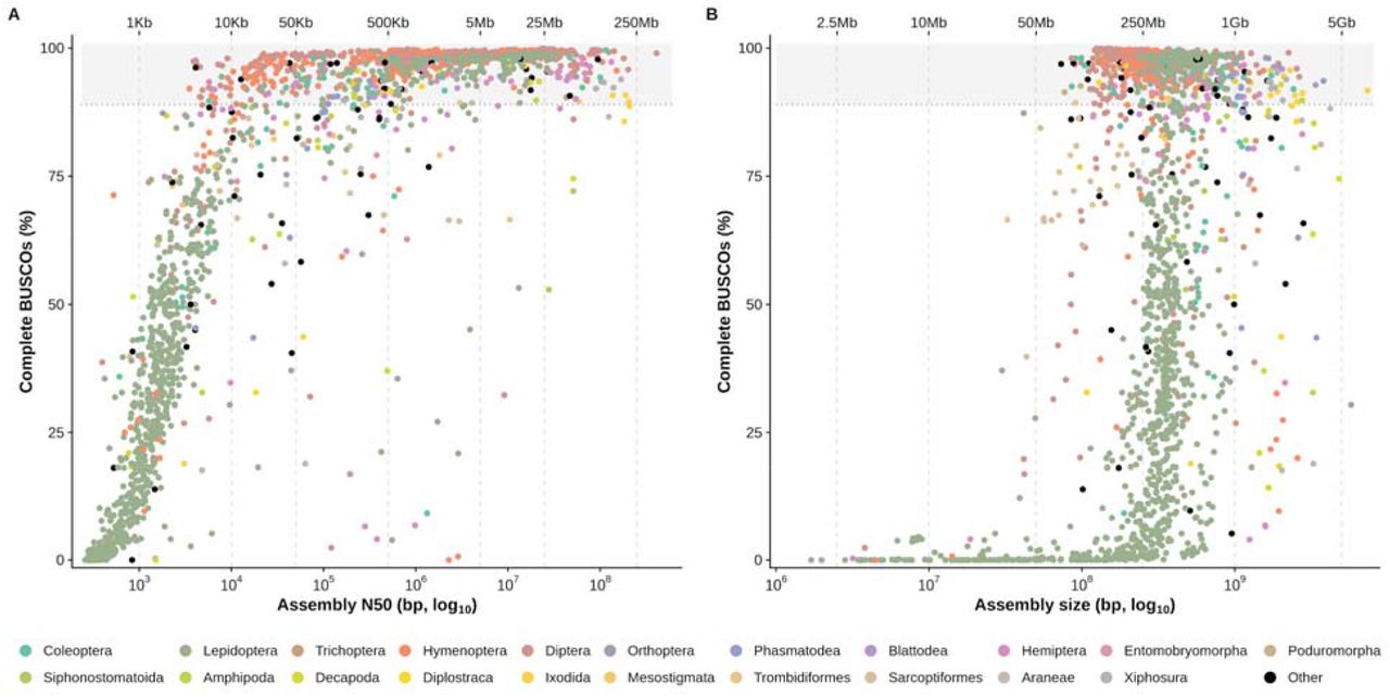 BUSCO completeness compared with assembly contiguity and size.Complete BUSCOs (in % of total BUSCOs for the arthropoda_odb10 dataset) are plotted against assembly N50 in bp (A) and assembly size in bp (B) for each assessed assembly. Both assembly N50 and assembly size are represented with a log scale. The color of a point indicates the order of the sequenced species. Dotted lines indicate N50 values of 1 Kbp, 10 Kbp, 50 Kbp, 500 Kbp, and 5 Mb in panel A and assembly size values of 50 Mb, 250 Mb, 1 Gb, and 5 Gb in panel B. BUSCO completeness scores above 90% are highlighted with a grey background.