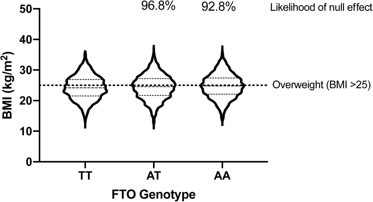 Effect of FTO rs9939609 genotype on BMI in the NFBC cohort.Violin plot displaying 1,000 synthetic BMI datapoints per FTO rs9939609 genotype, based on published population mean and SD values from the NFBC cohort.8 Percent overlap between the AT and AA normal distributions with that of the “wild type” (TT) genotype are displayed as a measure of the likelihood of these risk genotypes having no overall effect on BMI.