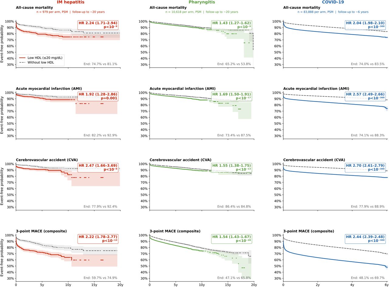 Kaplan-Meier event-free survival in patients with very low HDL (≤20 mg/dL) versus those without low HDL at the time of IM, COVID-19, or pharyngitis. Four rows correspond to all-cause mortality, AMI, CVA, and 3-point MACE; three columns correspond to IM (left; n = 979 per arm, PSM-balanced, follow-up to ≈20 years), COVID-19 (middle; n = 83,888 per arm, PSM-balanced, follow-up to ≈6 years), and pharyngitis (right; n = 10,618 per arm, PSM-balanced). Coloured solid lines = patients with very low HDL at presentation; grey dashed lines = patients without low HDL. Shaded bands indicate 95% confidence intervals. Hazard ratio (95% CI) and log-rank p-value are annotated in each panel; end-of-follow-up event-free probabilities are noted at bottom right. MACE = major adverse cardiovascular events; AMI = acute myocardial infarction; CVA = cerebrovascular accident.