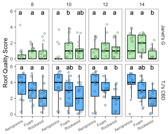 Root quality score compared across transplanted days and propagation systems—aeroponics, rockwool, and (Horticultural) foam—using Cannabis sativa L. Mean separation across propagation systems is indicated with letters, using Tukey’s Honest Significant Difference at p < 0.05.