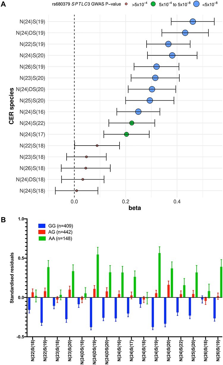 Family-based GWAS results for CER[NS] and precursor CER[NDS] with an exemplar SNP in serine palmitoyltransferase (SPTLC3). (A) The forest plot depicts the effect (beta) and significance (GWAS P-value) for association between the lead SNP and liver eQTL of SPTLC3 (rs680379) with the 13 CER[NS] and 3 CER[NDS] species in 999 plasma samples. The P-values are grouped into ‘P < 5 × 10−8’, ‘P = 5 × 10−4–5.1 × 10−8’ and ‘P > 5 × 10−4’. (B) Trend in concentrations of plasma CER species separated by SPTLC3 rs680379 genotype. The figure depicts the mean standardized residuals of the ceramide species in participants with the three genotypes at rs680379. The mean is shown with standard error. Four hundred nine participants had the GG genotype, 442 had the AG genotype and 148 had the AA genotype in the cohort. (C) LocusZoom plot of the association of CER[N(24)S(19)] with SPTLC3 SNP rs680379. The LocusZoom plot depicts the association of CER[N(24)S(19)] with SPTLC3 SNP rs680379 on chromosome 20 in 991 plasma samples. Although there is a group of lead SNPs, this SNP was depicted as it has been identified previously to associate at GWAS with sphingolipid species. The r2 for each SNP is depicted in colour. The plot was created using the LocusZoom plot tools at http://locuszoom.sph.umich.edu/.
