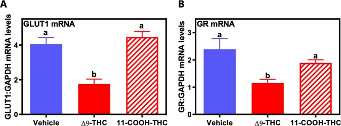 Δ9-THC decreases GLUT1 and GR in human BeWo trophoblast cells. Real-time qPCR of human BeWo cells treated with either vehicle, 15 µM Δ9-THC, or 15 µM 11-COOH-THC for 24 hours. Total RNA was extracted and reverse-transcribed to cDNA and normalized to GAPDH. All values were expressed as mean ± SEM (N = 6/group). Significant differences between treatment groups determined by 1-way ANOVA. Different letters represent means that are significantly different from one another according to Tukey’s post test (*P < 0.05, **P < 0.001).