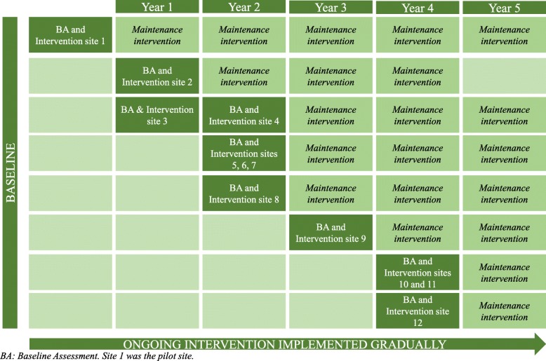 Gradual implementation of intervention (stepped wedge design)