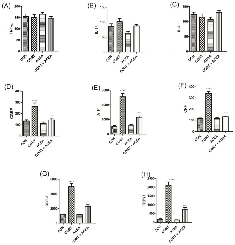 The influence of the 7-day administration of ACEA on biomarkers’ level [pg/mL] in the bladder urothelium: (A) tumor necrosis factor α (TNF-α), (B) Interleukin 1-β (IL-1β), (C) Interleukin-6 (IL-6), (D) Calcitonin Gene-Related Peptide (CGRP), (E) adenosine triphosphate citrate lyase (ATP), (F) corticotropin-releasing factor (CRF), (G) Organic Cation Transporter 3 (OCT-3), (H) Transient Receptor Potential Cation Channel Subfamily V, Member 1 (TRPV1) in rats subjected to a 14-day administration of corticosterone (CORT). Each experimental group consisted of 12 animals. Values are expressed as the mean ± S.E.M. ^^^ p < 0.001, **** or ^^^^ p < 0.0001. One-way ANOVA: for IL-1β F(3.44) = 5, p < 0.01; for CGRP F(3.44) = 12, p < 0.0001; for ATP F(3.44) = 46, p < 0.0001; for CRF F(3.44) = 114, p < 0.0001; for OCT-3 F(3.44) = 52, p < 0.0001; for TRPV1 F(3.44) = 78, p < 0.0001. CON control.
