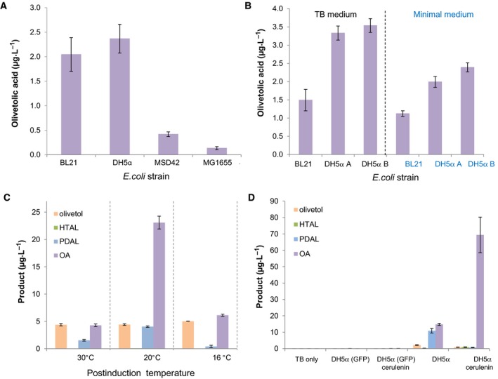 Optimization of in vivo olivetolic acid production by varying the (A) Escherichia coli strain, (B) culture medium, (C) post induction temperature and (D) the addition of cerulenin. Cultures were incubated in 25 mL TB (except in B where specified) with a starting OD600 nm of 0.1 at 37 °C until the optical density reached 0.8. Recombinant protein expression was induced with anhydrotetracycline (200 nm) ± cerulenin (20 μg·mL−1), followed by a further incubation at: 30 °C for (A) and (B), 16–30 °C as specified for (C) and 20 °C for (D) with shaking at 200 r.p.m. Twenty‐four hours after induction, samples were collected and organic solvent soluble products were extracted in ethyl acetate, dried, resuspended in methanol and analysed by LC/MS. Data points for (A) and (B) are the averages of three biological replicates, data points for (C) and (D) are average of two biological replicates, and bars represent standard deviation. TB only: negative control with only culture media; GFP negative control consisting in an E. coli strain transformed with a plasmid‐expressing GFP; E. coli strains DH5αA and DH5αB were obtained from two different suppliers.