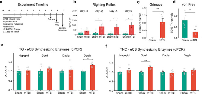 Experimental timeline, behavioral assessments, and mTBI-induced changes in major eCB synthesizing enzymes in the trigeminal complex. (a) A schematic of the repetitive mTBI protocol, behavioral assessments and sample collection timeline. (b) Comparison of righting reflex (duration) between sham and mTBI groups. (c) Average mouse grimace scale (MGS) score for sham and mTBI groups at 5 days post-injury. (d) Comparison of periorbital tactile sensitivity measured using von frey filaments at 6 days post-injury. (e, f) Relative gene expressions (qPCR) of synthesizing enzymes in the TG (e) and the TNC (f) 7 days following mTBI. n = 5–7 mice/group. Data are presented as mean ± SEM (* p < 0.05, **p < 0.01, *** p < 0.001, and **** p < 0.0001)