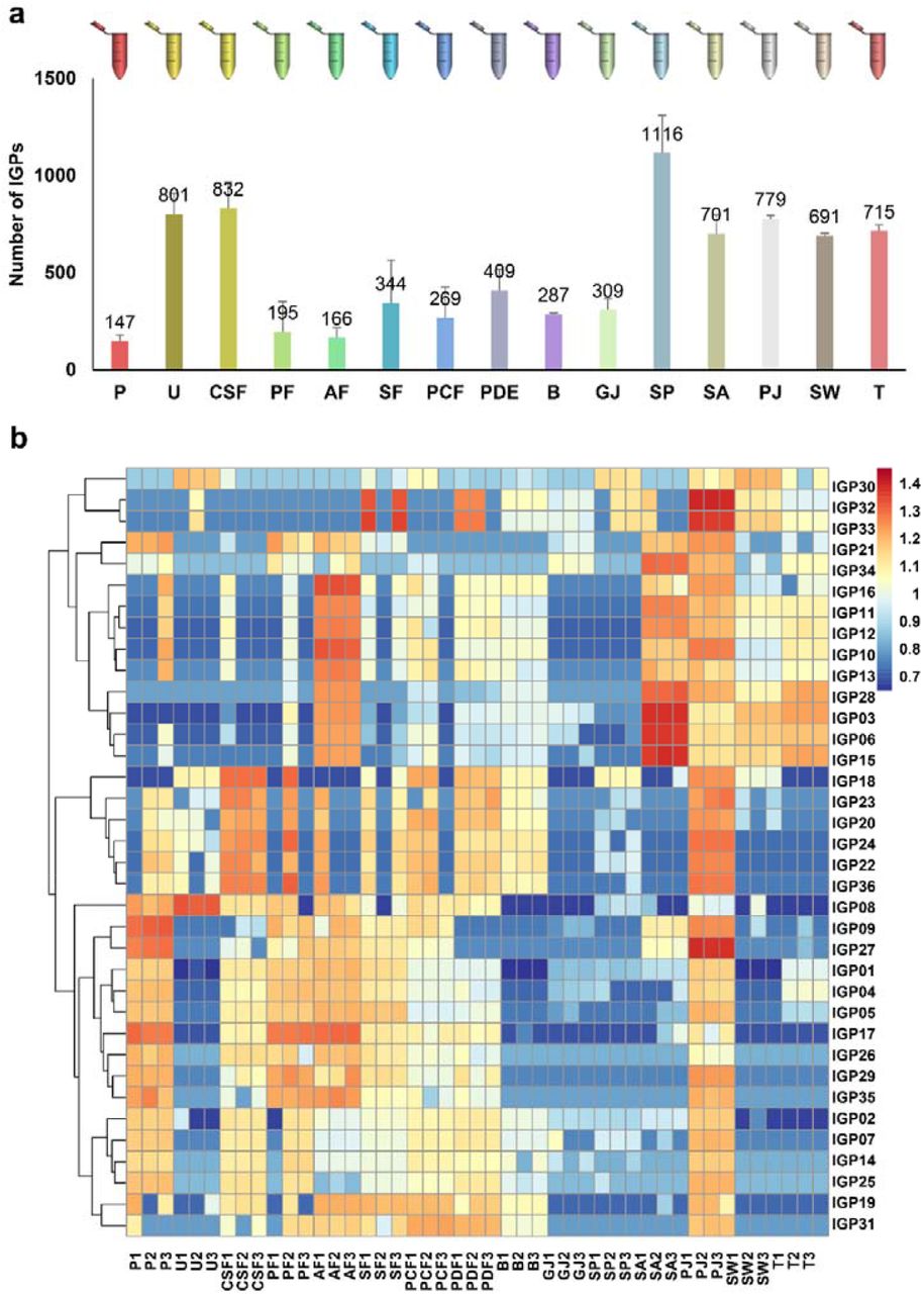 Glycoproteomic characteristics of the fifteen types of HBF samples. (a) Bar chart displaying the quantified IGP counts from these 15 HBF samples as determined by EThcD-sceHCD-MS/MS. (b) Heatmap analysis of the 36 IGPs with high quantitative detection rates (>50%) across the 15 HBF samples highlights significant differences in their expression levels.