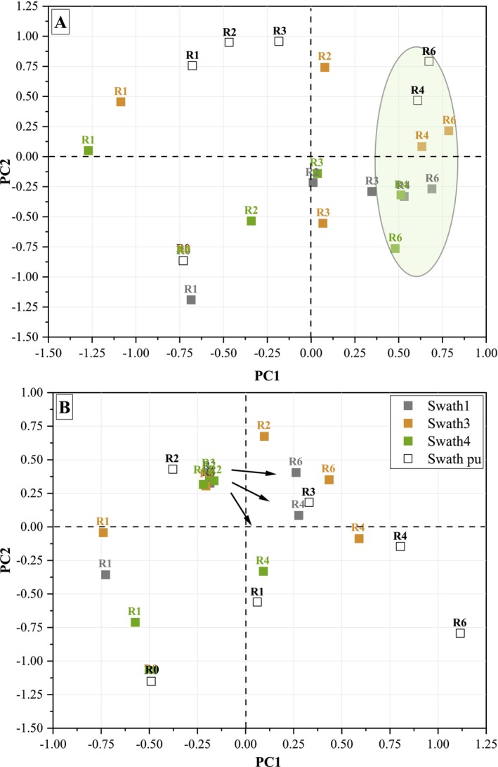Principal coordinates analysis (PCoA) of bacterial (16S) (A) and fungal (18S) (B) community structure for the field (swaths 1, 3, and 4) and pilot unit (swath pu) stem samples during the different weeks of retting (R0‐R4, R6).