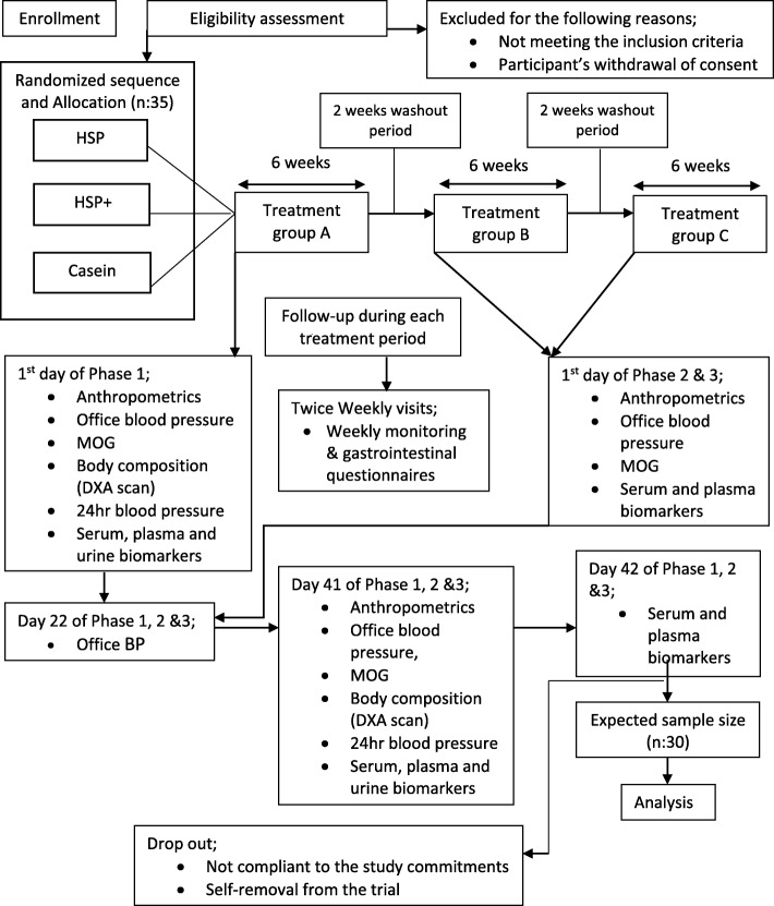 Schematic flow diagram of the trial protocol