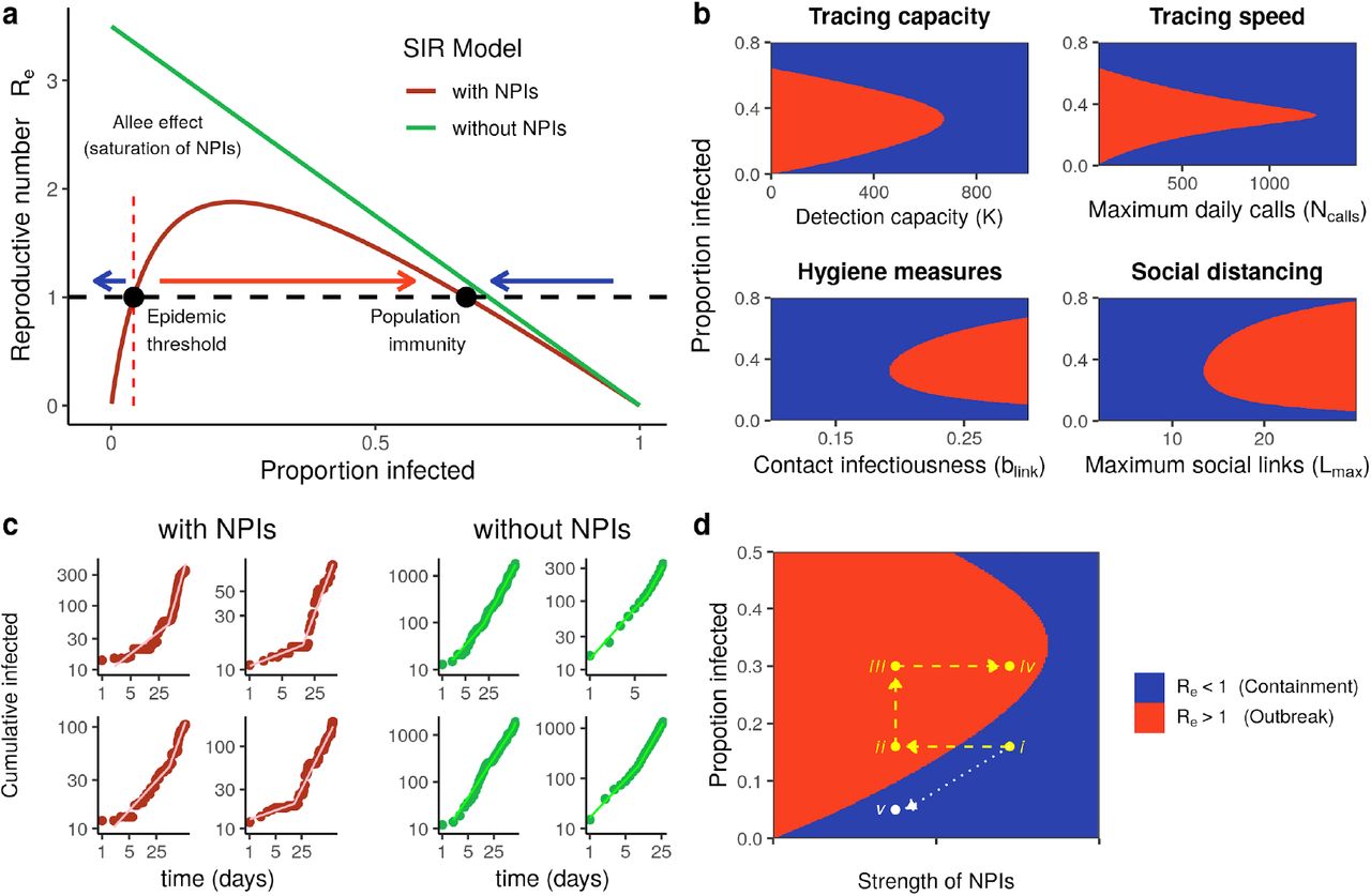 Saturation of NPIs and disease dynamics. (a) Effective reproduction number as a function of the proportion of the population infected Re(I). Without NPIs (green line) the per capita growth rate Re(I) decreases proportionally to the infection number indicating a logistic dynamic13. When NPIs are in place (red line) Re(I) first increases with the proportion of infected individuals due to the saturation of NPIs and then decreases approaching the dynamics in absence of NPIs (equation [1]). This determines a positive feedback at low numbers (NPI-Allee effect) and a threshold for epidemic outbreak in the number of infections (I*). (b) The alternative epidemic states of growth (Re(I)>1, red) or containment (Re(I)<1, blue) are determined by both the proportion of the infected population (vertical axis) and the strength of the different NPIs (horizontal axis) (c) SIR dynamics without NPIs (right) and with NPIs of limited capacity (left), inducing an Allee effect that can generate abrupt transitions in disease spread rate (equation [2]). (d) Relaxation of NPIs and epidemic containment. In trajectory i→ii→iii→iv an abrupt relaxation surpasses the epidemic threshold provoking an increase in infections. Return to previous strength of NPIs fails to contain the outbreak. In trajectory i→v the gradual relaxation of NPIs follows the decrease in the infected population keeping the epidemic under control.