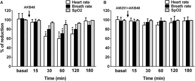 Effect of the systemic administration of AKB48 (3 mg/kg i.p.) on heart rate, breath rate and oxygen arterial saturation in rats (A). Effect of AM251 on AKB48-reduced cardiorespiratory parameters in the rat was reported in (B). For (A,B), data are expressed as the percentage of basal value (heart and breath rate) and as a percentage of oxygen blood saturation (% SpO2 saturation) and represent the mean ± SEM of 6 animals for each treatment. Statistical analysis was performed by one-way ANOVA followed by the Bonferroni’s test for multiple comparisons. ∗p < 0.05, ∗∗p < 0.01 vs. vehicle.