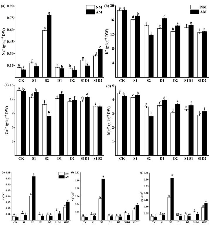 Na+ (a), K+ (b), Ca2+ (c), Mg2+ (d), Na+/K+ (e), Na+/Ca2+ (f), and Na+/Mg2+ (g) content of hemp leaves under salt and drought stress. Bars indicate mean ± S.E. Different letters indicate significant differences between hemp with and without AMF under each treatment.
