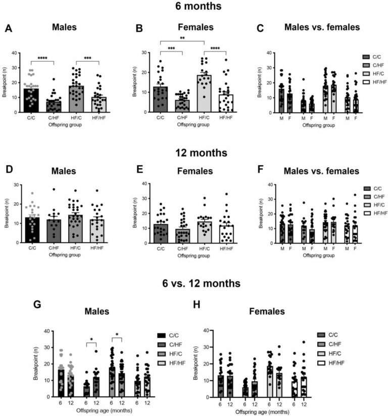 Effect of peri- and postnatal C and HF diet on motivation in young and aged offspring. (A–C) Breakpoint of 6-month-old male (A) and female (B) offspring, and comparison between male and female breakpoints (C) on the PR2 task. Males n = 24–28, females n = 19–27, ** p < 0.01, *** p < 0.001, **** p < 0.0001, one- or two-way ANOVA with Sidak’s post hoc. (D–F) Breakpoint of the same male (D) and female I(E) offspring groups re-tested at 12 months of age and comparison of breakpoints between 12-month-old male and female offspring (F). Males n = 14–28, females n = 19–26, one- or two-way ANOVA with Sidak’s post hoc. (G,H) Comparison of breakpoint of between 6- and 12 months of age in male (G) and female (H) offspring. Here, * p < 0.05, two-way, repeated measures ANOVA with Sidak’s post hoc.