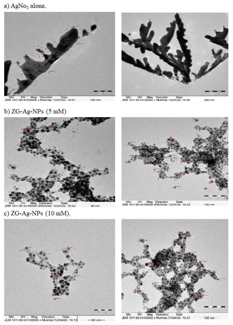 TEM images of AgNO3 (a), 5 mM ZS-Ag-NPs (b), and 10 mM ZS-Ag-NPs (c).